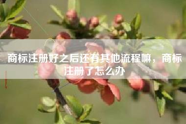 商标注册好之后还有其他流程嘛，商标注册了怎么办