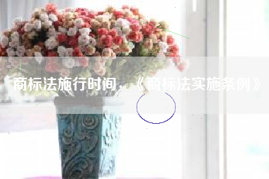 商标法施行时间，《商标法实施条例》