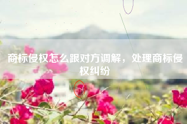 商标侵权怎么跟对方调解，处理商标侵权纠纷