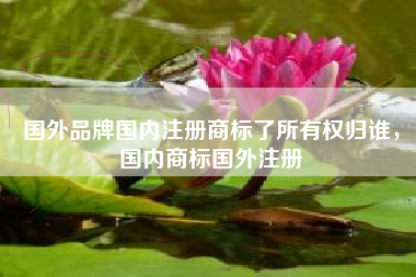 国外品牌国内注册商标了所有权归谁，国内商标国外注册