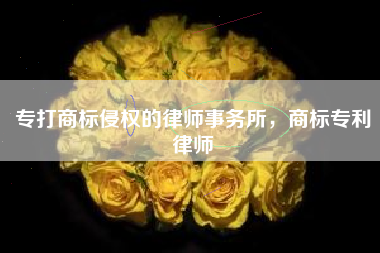 专打商标侵权的律师事务所，商标专利律师