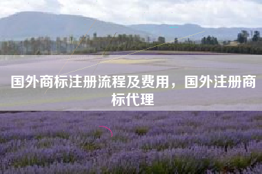 国外商标注册流程及费用,国外注册商标代理 国外商标注册流程及费用,国外注册商标代理