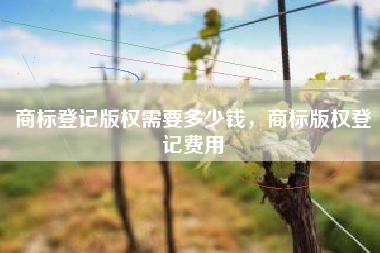 商标登记版权需要多少钱，商标版权登记费用