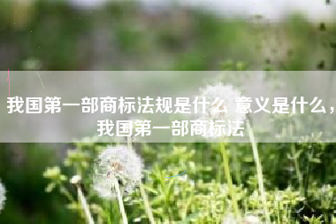 我国第一部商标法规是什么 意义是什么，我国第一部商标法