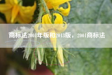 商标法2001年版和2013版，2001商标法