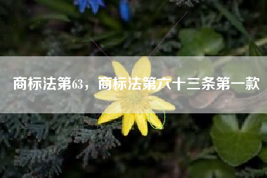 商标法第63，商标法第六十三条第一款