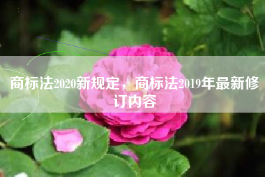 商标法2020新规定，商标法2019年最新修订内容