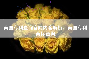 美国专利查询官网内容解析,美国专利商标查询 美国专利查询官网内容解析,美国专利商标查询