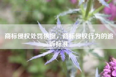 商标侵权处罚依据，商标侵权行为的追诉标准