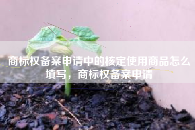 商标权备案申请中的核定使用商品怎么填写,商标权备案申请 商标权备案申请中的核定使用商品怎么填写,商标权备案申请