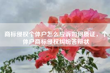 商标侵权个体户怎么应诉如何质证,个体户商标侵权纠纷答辩状 商标侵权个体户怎么应诉如何质证,个体户商标侵权纠纷答辩状
