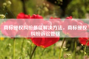 商标侵权纠纷最佳解决方法,商标侵权纠纷诉讼管辖 商标侵权纠纷最佳解决方法,商标侵权纠纷诉讼管辖