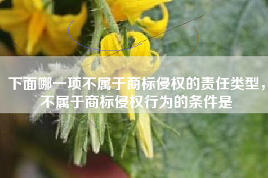 下面哪一项不属于商标侵权的责任类型，不属于商标侵权行为的条件是