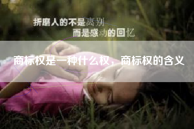 商标权是一种什么权，商标权的含义