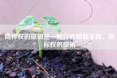 商标权的撤销是一种行政制裁手段，商标权的撤销