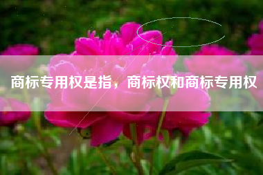 商标专用权是指，商标权和商标专用权