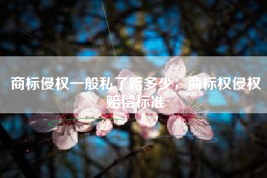 商标侵权一般私了赔多少，商标权侵权赔偿标准