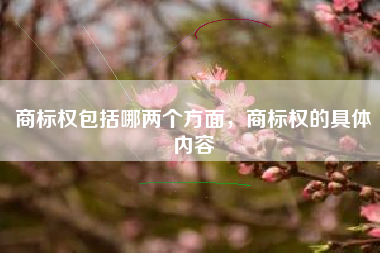 商标权包括哪两个方面，商标权的具体内容