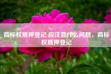 商标权质押登记 应注意什么问题，商标权质押登记