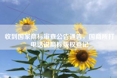 收到国家商标审查公告通告，国商所打电话说商标版权登记