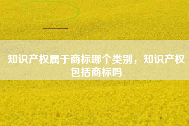 知识产权属于商标哪个类别，知识产权包括商标吗