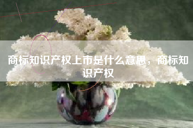 商标知识产权上市是什么意思，商标知识产权