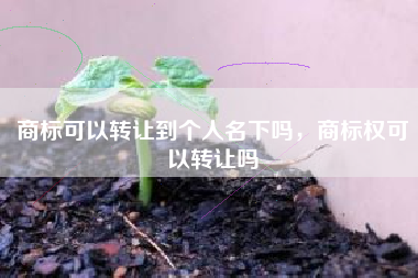 商标可以转让到个人名下吗，商标权可以转让吗