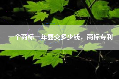 一个商标一年要交多少钱，商标专利