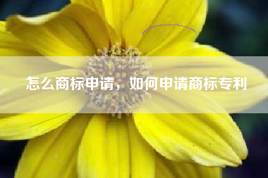 怎么商标申请,如何申请商标专利 怎么商标申请,如何申请商标专利