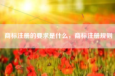 商标注册的要求是什么，商标注册规则