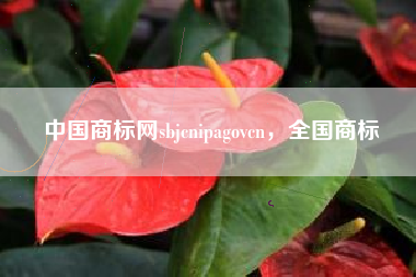 中国商标网sbjcnipagovcn，全国商标