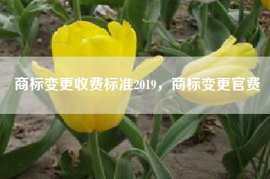 商标变更收费标准2019，商标变更官费