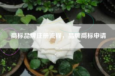 商标品牌注册流程，品牌商标申请