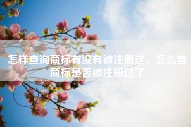 怎样查询商标有没有被注册过，怎么查商标是否被注册过了