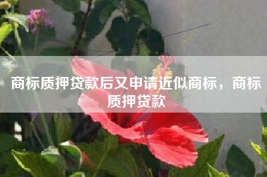 商标质押贷款后又申请近似商标，商标质押贷款