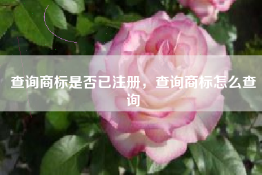 查询商标是否已注册，查询商标怎么查询