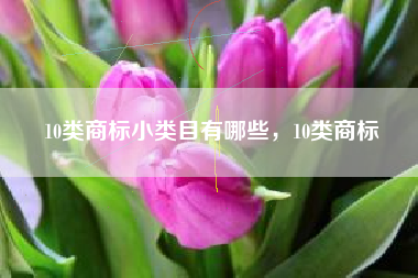 10类商标小类目有哪些，10类商标