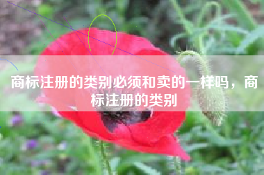商标注册的类别必须和卖的一样吗，商标注册的类别