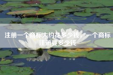 注册一个商标大约花多少钱，一个商标注册要多少钱