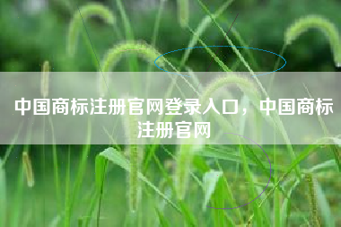中国商标注册官网登录入口，中国商标注册官网