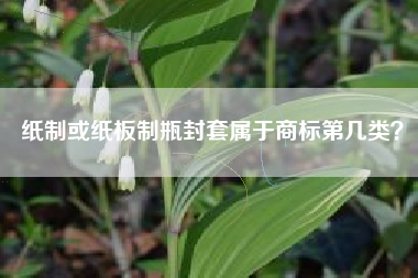 纸制或纸板制瓶封套属于商标第几类? 纸制或纸板制瓶封套属于商标第几类?