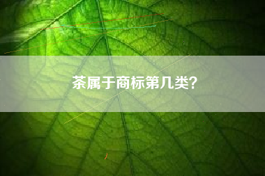茶属于商标第几类? 茶属于商标第几类?