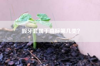 假牙套属于商标第几类? 假牙套属于商标第几类?