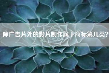 除广告片外的影片制作属于商标第几类? 除广告片外的影片制作属于商标第几类?