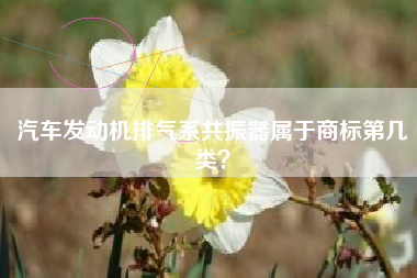 汽车发动机排气系共振器属于商标第几类? 汽车发动机排气系共振器属于商标第几类?