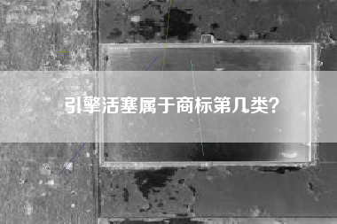 引擎活塞属于商标第几类? 引擎活塞属于商标第几类?