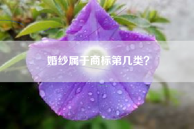 婚纱属于商标第几类? 婚纱属于商标第几类?