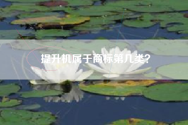 提升机属于商标第几类? 提升机属于商标第几类?