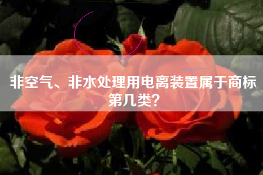 非空气、非水处理用电离装置属于商标第几类? 非空气、非水处理用电离装置属于商标第几类?