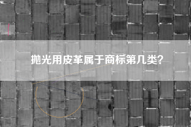 抛光用皮革属于商标第几类? 抛光用皮革属于商标第几类?
